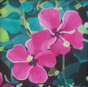 Hibiscus (thumbnail)