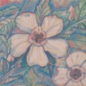 Hibiscus (thumbnail)