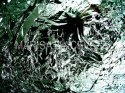 Marisa Aceves - Object 180