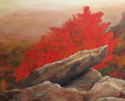 Rough Ridge