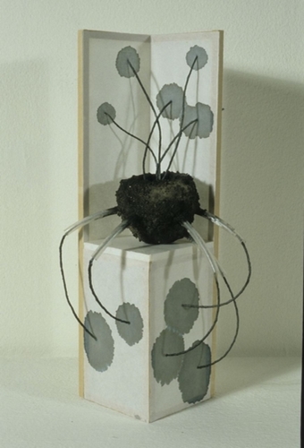 Fiber Art-Conceptual-Study work
