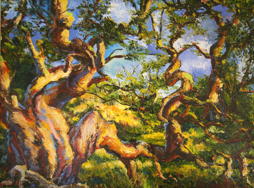 Koa Trees Two