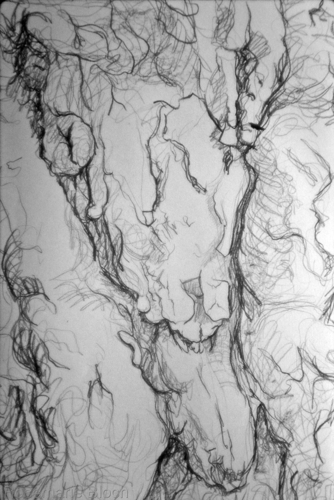 Drawings 