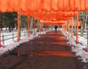 The%20Gates-Reflections%204 (thumbnail)