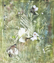 Green%20%26%20White (thumbnail)