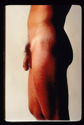 Male Nude Torso Male%20Nude%20Torso (thumbnail)
