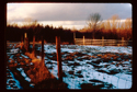 Sunset at Stonewall Farm Sunset%20at%20Stonewall%20Farm (thumbnail)
