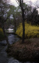 River%20view%20Milkwood%20Farm%20Stillwater%20NJ (thumbnail)
