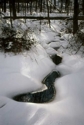 Canal Path in Winter Canal%20Path%20in%20Winter (thumbnail)