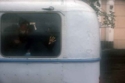 School%20bus%20with%20hands (thumbnail)