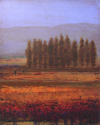 In%20the%20Middle (thumbnail)