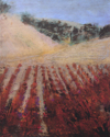 Vines%20%26%20Lines (thumbnail)