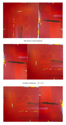 Red Diptych Variations Red%20Diptych%20Variations (thumbnail)