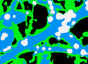 flying%20cows (thumbnail)