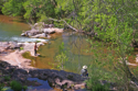 river%20vino (thumbnail)