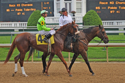 the%20racin%27%20cajun (thumbnail)