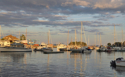safe%20harbor (thumbnail)