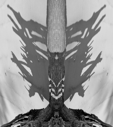 beach%20totem (large view)