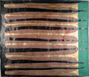 Mixed Media--Non-representationalThey crash test every car (side 2)