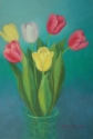 Coral%2C%20Yellow%2C%20and%20White%20Tulips (thumbnail)