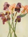 %22Iris%20Bouquet%22 (thumbnail)