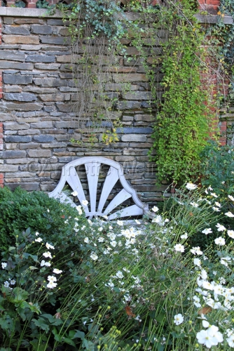 %22Bench%20Peeking%20Through%22 (large view)