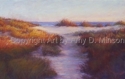 Amy D. Minson - Winter Light Sullivans