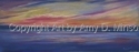 In%20Search%20of%20Serenity (thumbnail)