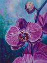 2011 Awakening
