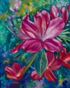 2011 Spring Splendor