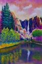 2011 Merced River Reflections