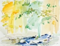22quot x 30quot