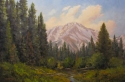 The Beaver Pond