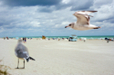 La Plage1