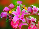 Bouquet de fleurs