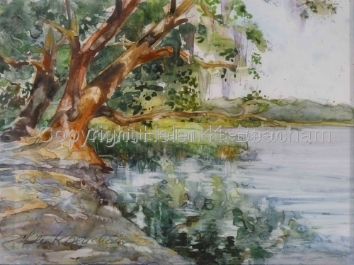  Watercolors