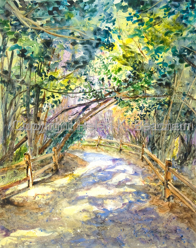 LANDSCAPES