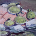Turtle%20Thoughts (thumbnail)