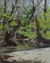 Spring%20at%20Adena%20Creek (thumbnail)