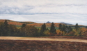 Autumn in Aroostook
