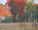 Fall Hay Field