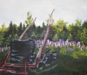 Sleigh in field of Lupines