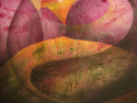 Painting-Planet Zena Vista, © B. Ragalyi