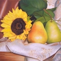 Sunflower%20with%20Pears (thumbnail)