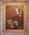 San%20Miguel%20Orchid (thumbnail)