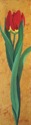 Red%20Tulip (thumbnail)