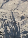 Photography-Noon Walk