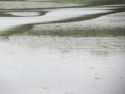 Photography--Color-NatureAll Photos. Current. JPG.