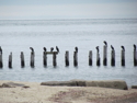 Photography--Digital-NatureCountless. JPG