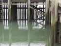 Photography--Digital-SeascapeRhythmic Thoughts. JPG.